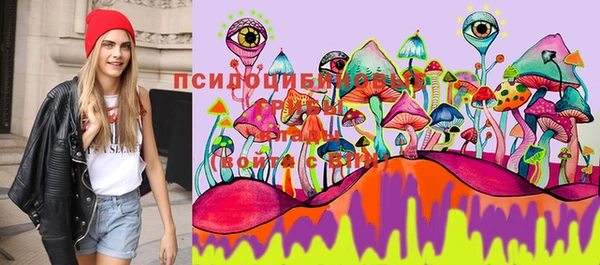 каннабис Белокуриха