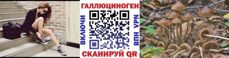 блэк спрут зеркало  как найти наркотики  Печора  Галлюциногенные грибы Psilocybine cubensis 